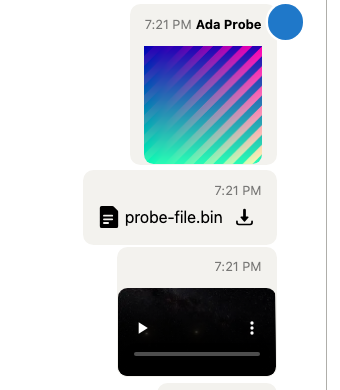 An image, a binary file and a video still in the room after a redeploy, with their thumbnails rendering